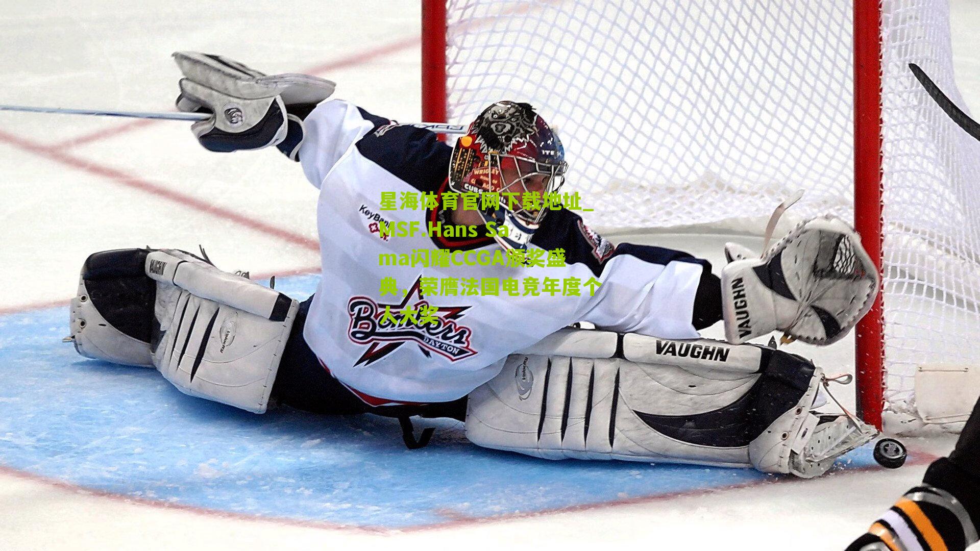 MSF.Hans Sama闪耀CCGA颁奖盛典，荣膺法国电竞年度个人大奖